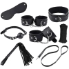 Kit com Algema, Tornozeleira com Corrente, Venda e Chicote, Mordaça de Bola, Coleira com Estirante e Guias.